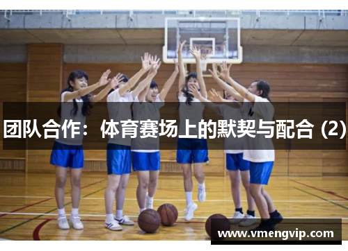 团队合作：体育赛场上的默契与配合 (2)